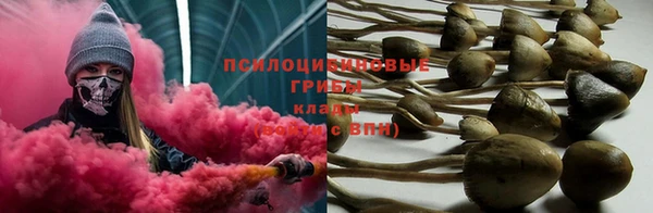 apvp Остров
