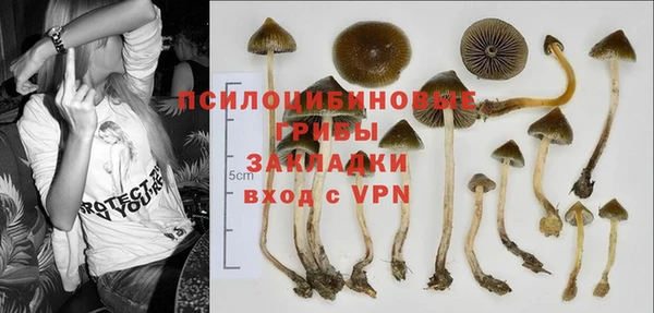 гашик Алексеевка