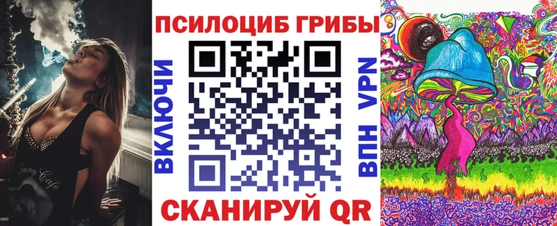 как найти Сорск Псилоцибиновые грибы ЛСД